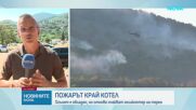 Локализиран е пожарът край Котел (СНИМКИ)