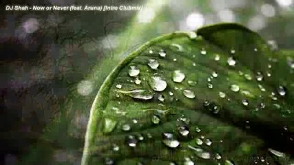 Trance 2009 - New Year Edition Hd 