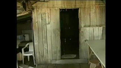 Момиче на 14 години високо 206 см 
