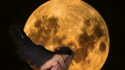 Shepherd Moons