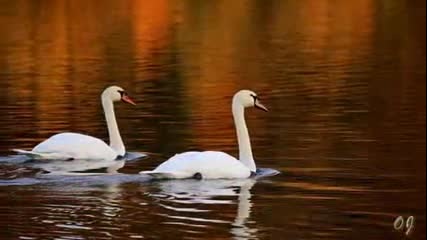 Welcome Autumn - Ernesto Cortazar
