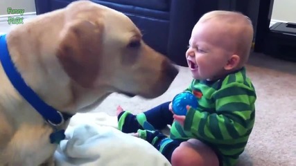Кучета учат бебета .. компилация2014