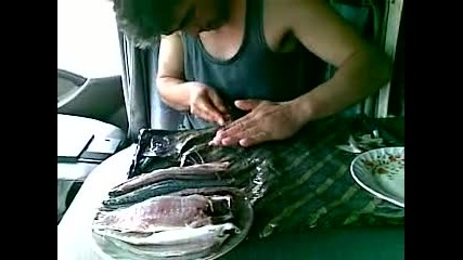 Pimk Georgi Ribaria