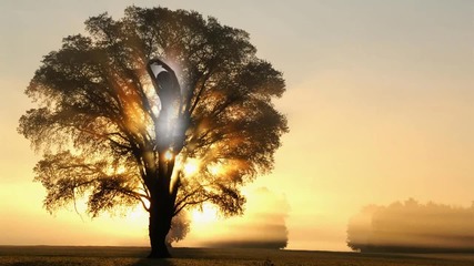 morning has broken