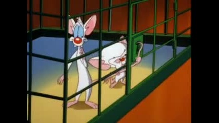 Pinky and the Brain,ep. 28