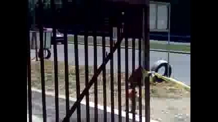 Рали Варна 31.05.2009