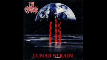In Flames - Dreamscape 