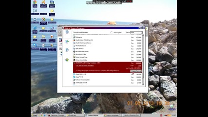 team viewer