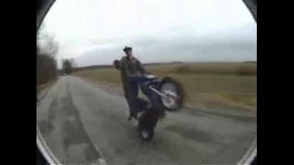 Really Great Scooter Stunts