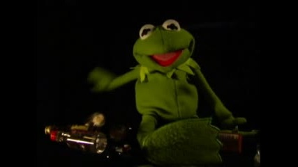 Kermits Hurt