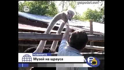 Харесва ли ви? А?