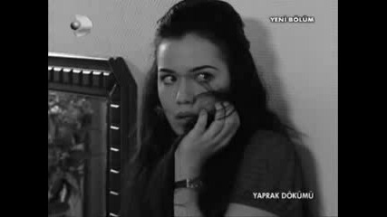 - Dagildik Sonunda - Yaprak D 
