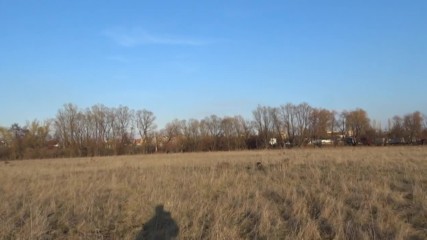 Кора 11мес