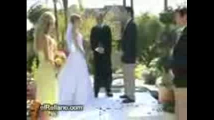 Wedding Fun