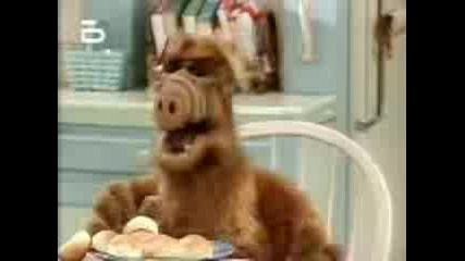 Alf.s02e14