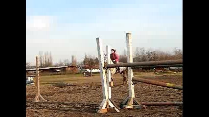 06.III.2007 - Рени и Голд Мен в манежа