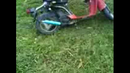 Malkiq Skubar