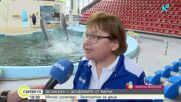 Великден с делфините от Варна