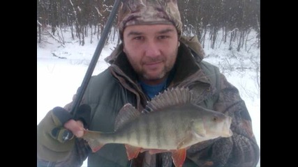 На леда 2010г.