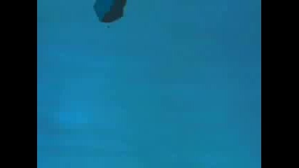 Everytime We Touch - Mermaid Melody
