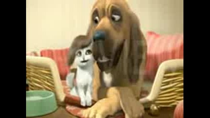 Cat Dog