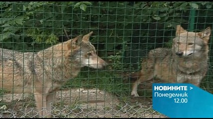 В обедната емисия на Новините на Нова за 21 септември очаквайте