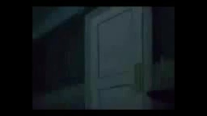 Tom & Djery (bg parody)