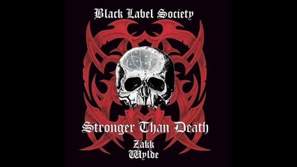 Black Label Society - All For You