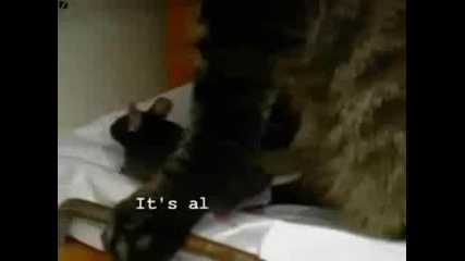 Смешни Животни Хаха