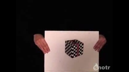 Оптическа илюзия