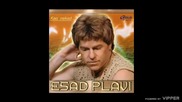 Esad Plavi - Dolazim da ostanem - (Audio 2005)