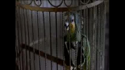 Scary Movie 2 - Funny Bird