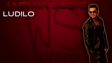 Jasmin Jusic 2013 - Ludilo