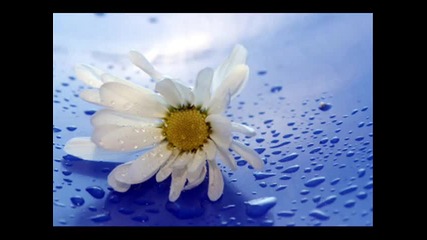 When You Tell Me That You Love Me - Diana Ross