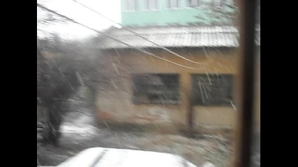 Sdc11101