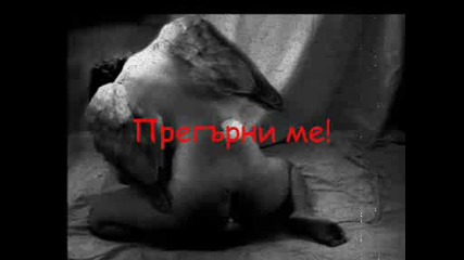 Остани До Мен