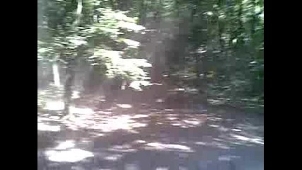 atv ruse