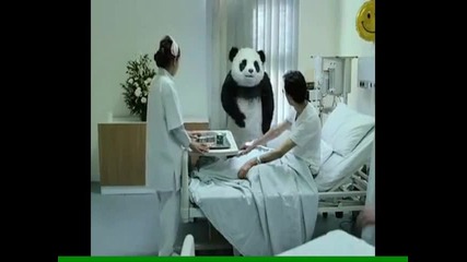 Никога Не Казвай Не На Панда!!!