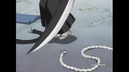 Bleach [71]