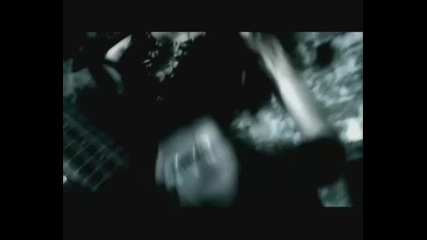 Mandragora Scream - Dark Lantern 
