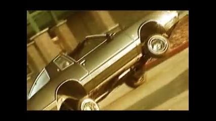 Tr3 Nut - That alredy knows