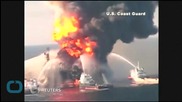 BP Oil Spill Responsible for Gulf of Mexico Dolphin Deaths