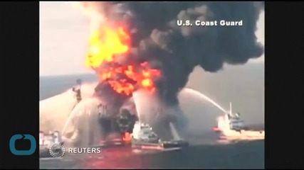 BP Oil Spill Responsible for Gulf of Mexico Dolphin Deaths