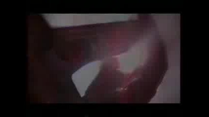 Shooting Star - Its Not Over