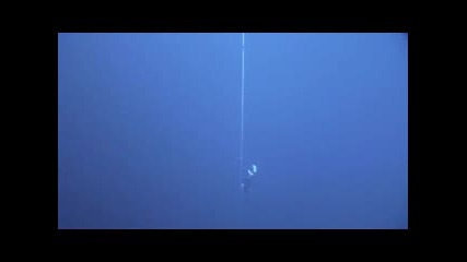 Freediving World Record - 88m without fins