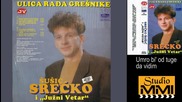 Srecko Susic i Juzni Vetar - Umro bi` od tuge da vidim (Audio 1992)