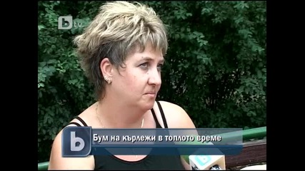 Бум на кърлежи в горещините 