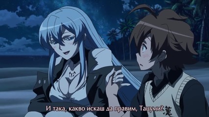 Akame ga Kill - 14 [ Бг Субс ]