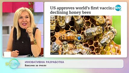 Иновативна разработка - Ваксина за пчели - „На кафе” (16.01.2023)