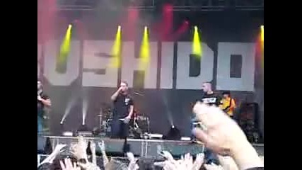 Fler - Das alles ist Deutschland (ft. Bushido) Live Berlin (zitadelle) 04.06.10 